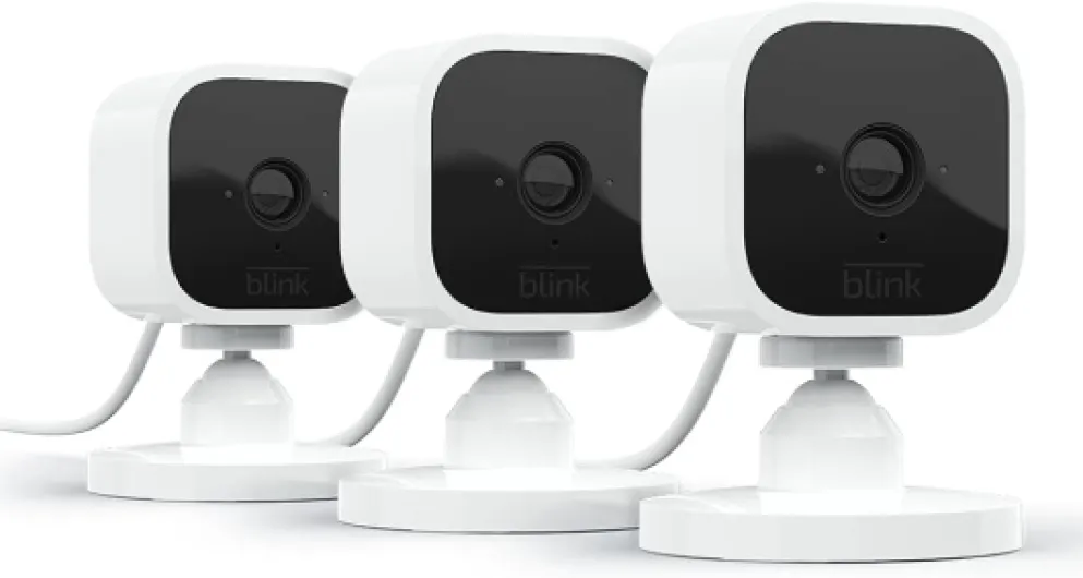 41QIDcfx6DS._AC_SL1000_