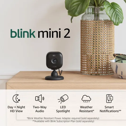 Mini 2 — Home Security & Pet Camera(s) with HD video, color night view, motion detection, two-way audio, and built-in spotlight — 2 cameras (Black) Black Camera 2 Cameras