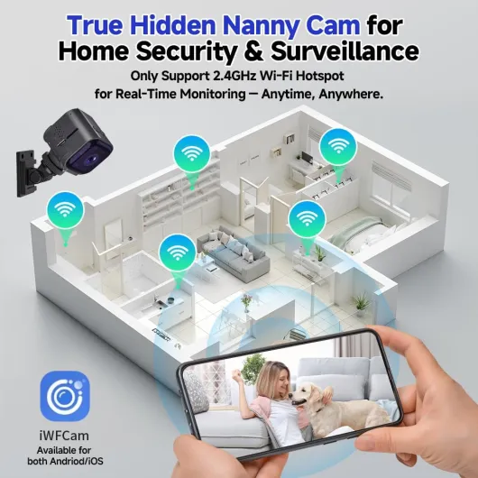 61fADyij3fL._AC_SL1000_