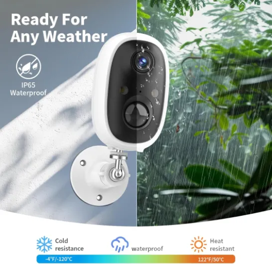 81  9W3RV8L._AC_SL1500_