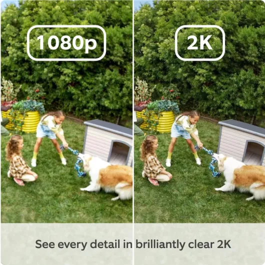 7114QxTiR4L._SL1000_