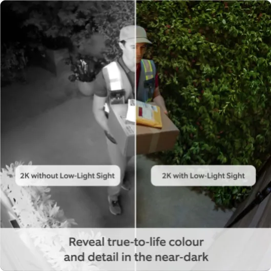 615iv1ZnpsL._SL1001_